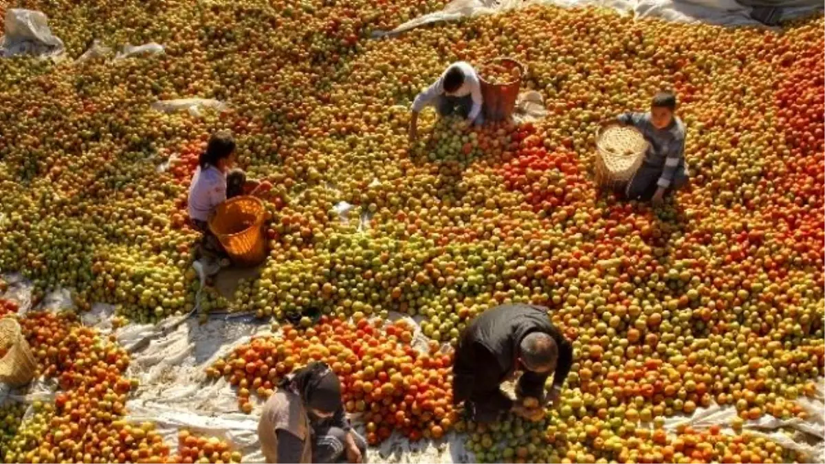 Milas\'ta 2016 Yılı Çks Kayıtları Başladı