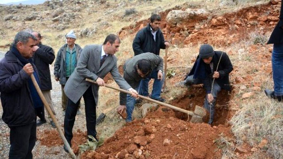Tut İlçesinde Dut Fidanı Dikimi Yapıldı