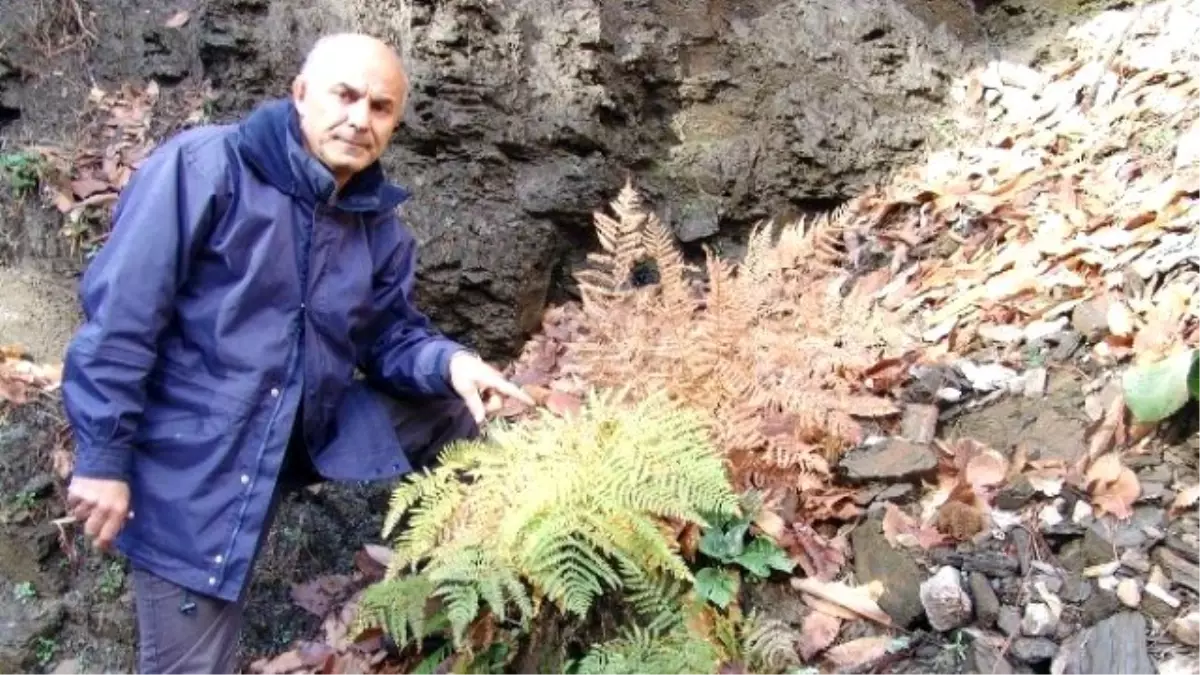 Uzmanlardan Ekosistemle İlgili Açıklama