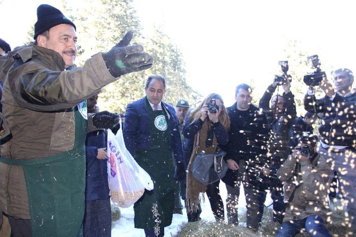 Bakan Eroğlu, Yaban Hayvanlar İçin Ormana Yem Bıraktı