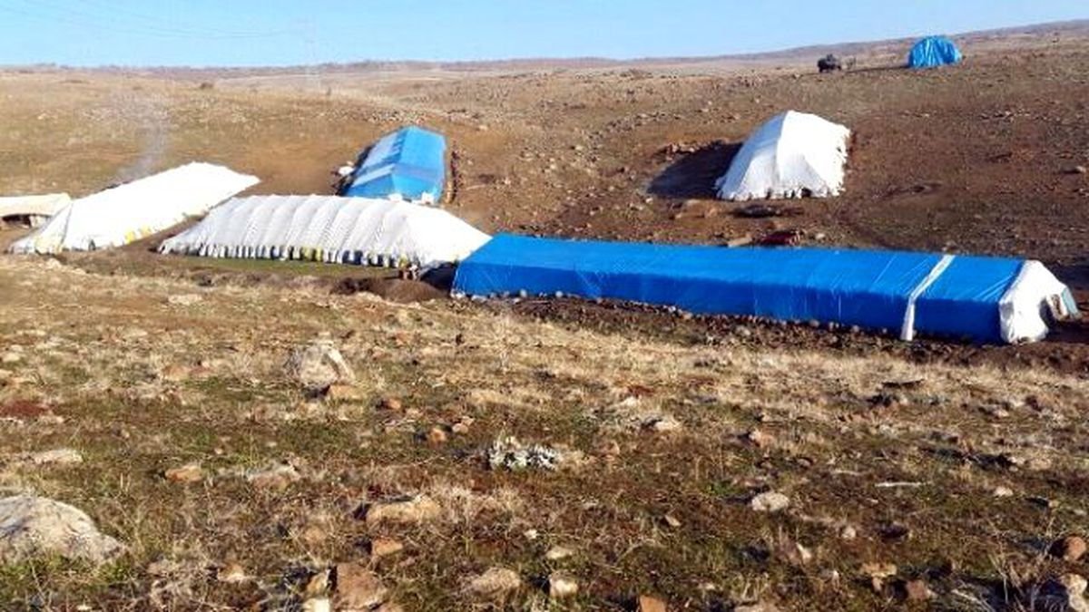 Elazığ\'da Cephanelik Gibi Hayvan Barınağı