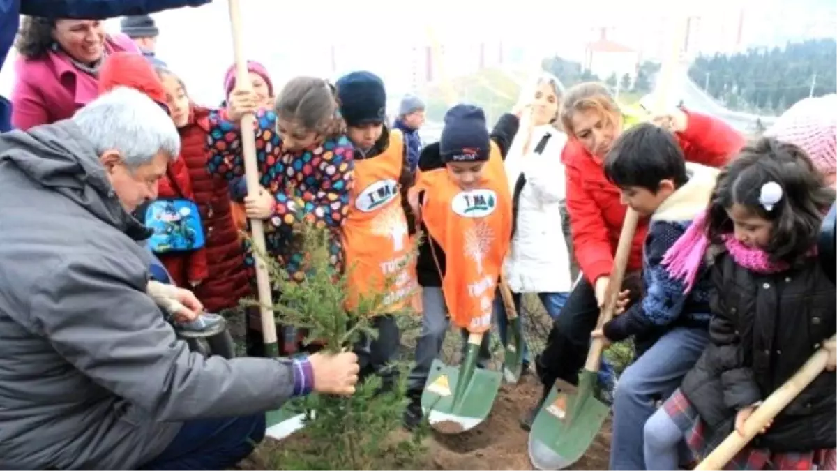 Gebze Beylikdağı Ormana Dönüşüyor