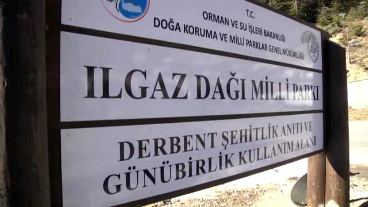Orman ve Su İşleri Bakanı Eroğlu: "(Terör Örgütüne Yönelik Operasyonlar) Dağlar Tamamen Temizlendi"