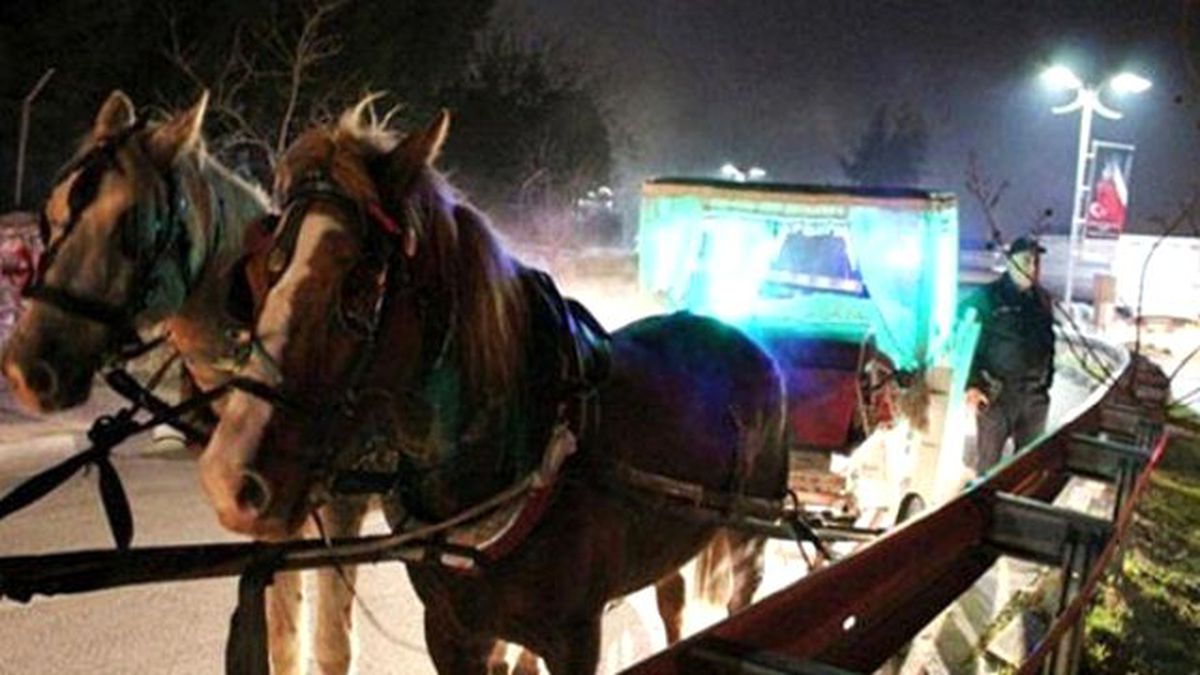 Polisin 4 Yıldır Peşinde Olduğu Tacizci Faytonda Yakalandı