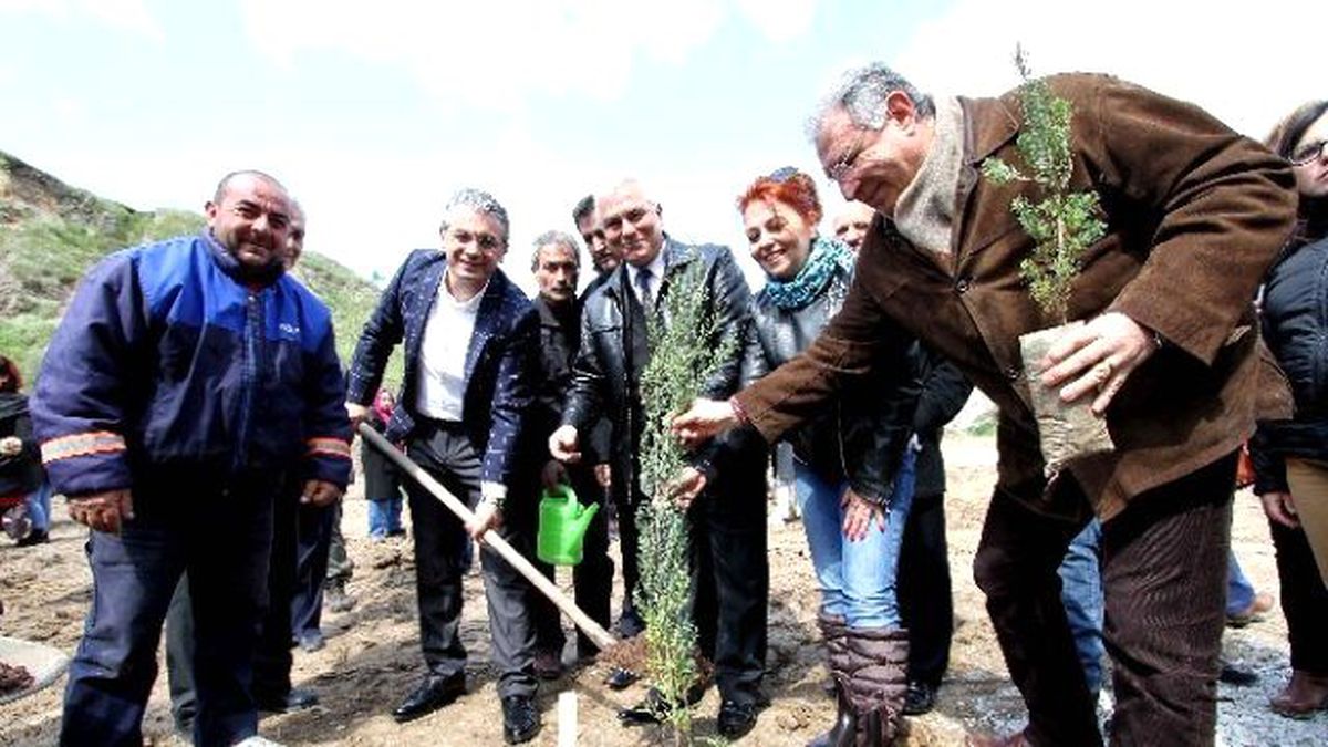 Fidan Dikmeyene Ruhsat Yok