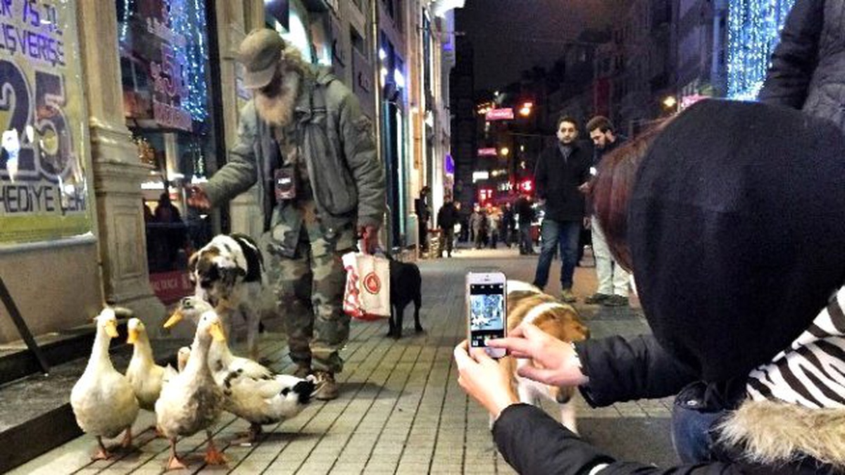 İstiklal Caddesinde Ördek Sürüsüyle Gezdi