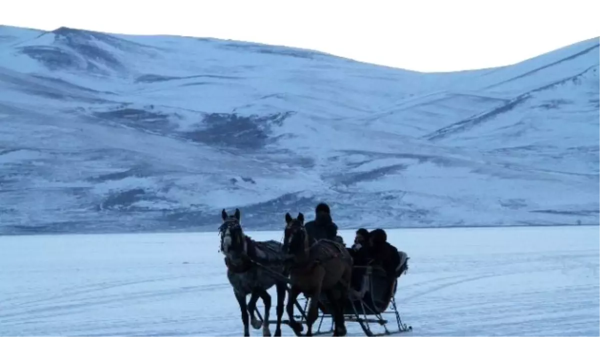 Çıldır Gölü'nde Atlı Kızak Keyfi Başladı