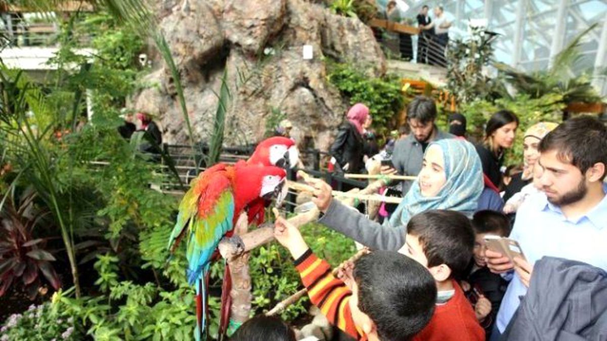 Suriyeli Yetimler Tropikal Kelebek Bahçesi\'ni Gezdi