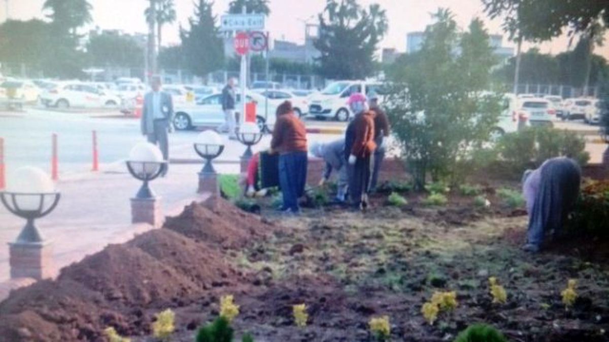 Adana Havalimanı Belediyelerin İşbirliğiyle Yeşillendiriliyor