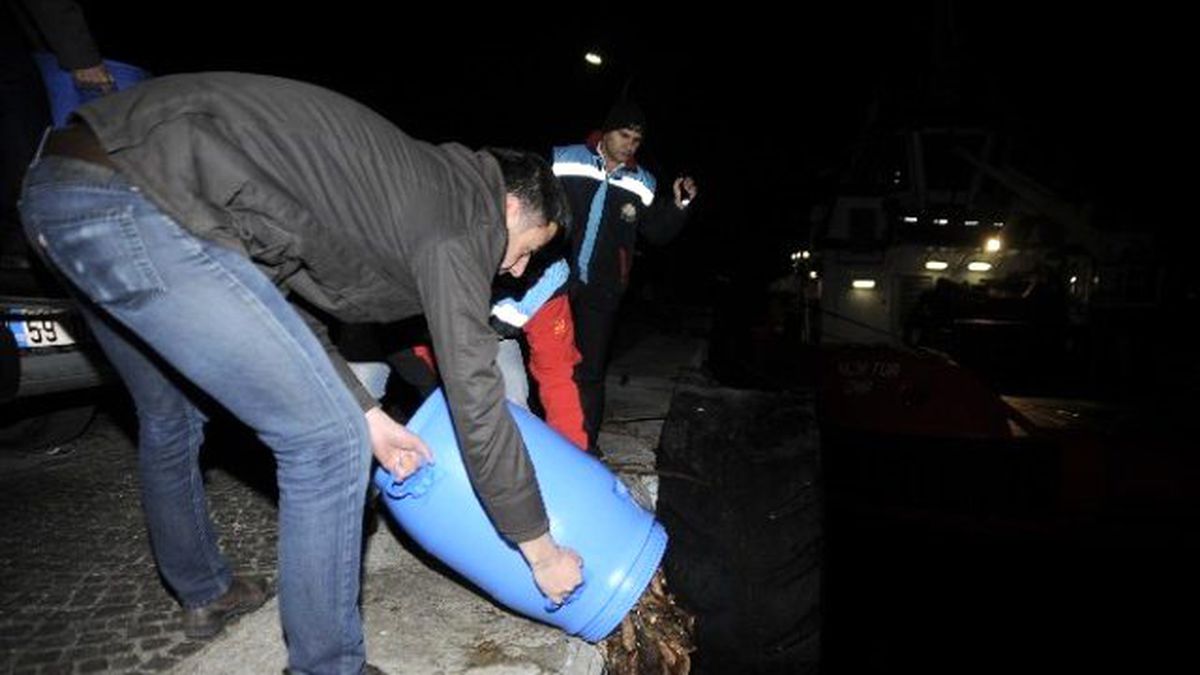 Çanakkale\'de Deniz Patlıcanı Operasyonu