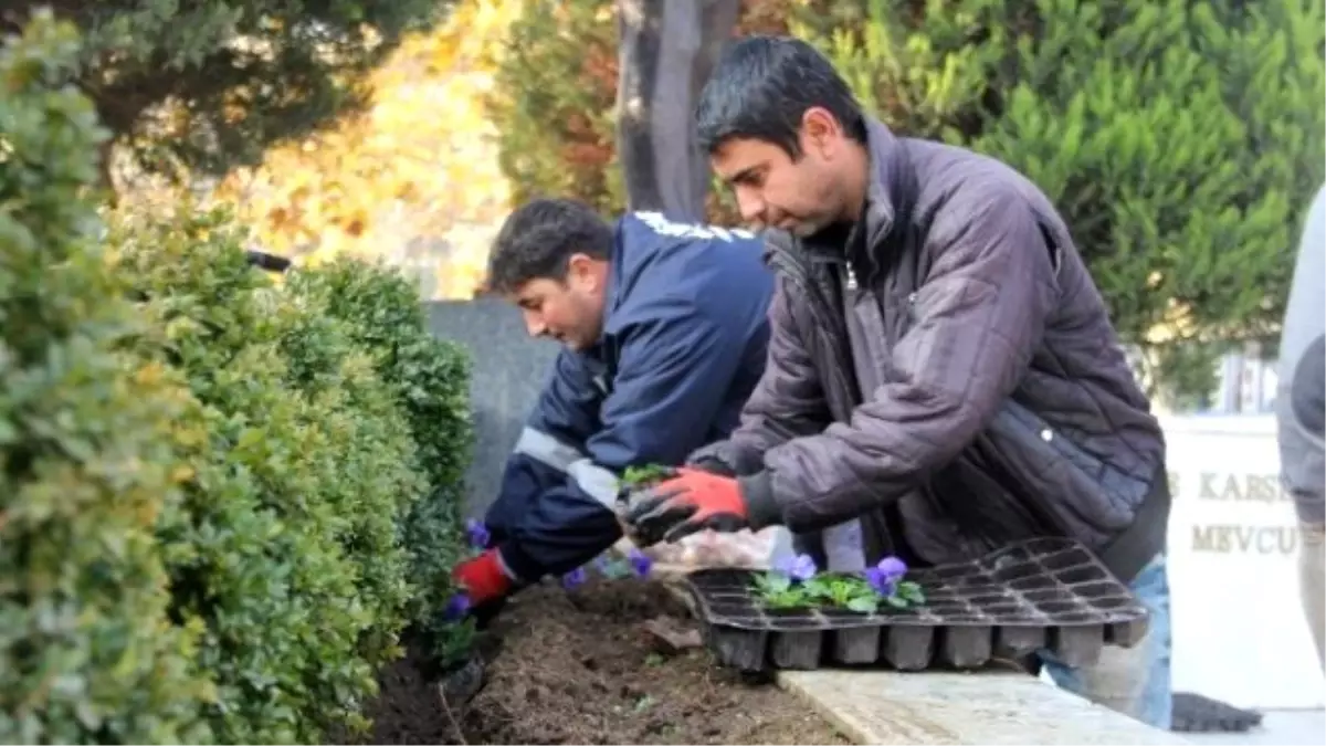 Menderes\'te Sokaklar Çiçeklerle Renklenecek