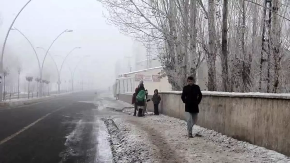 Soğuk Hava ve Yoğun Sis