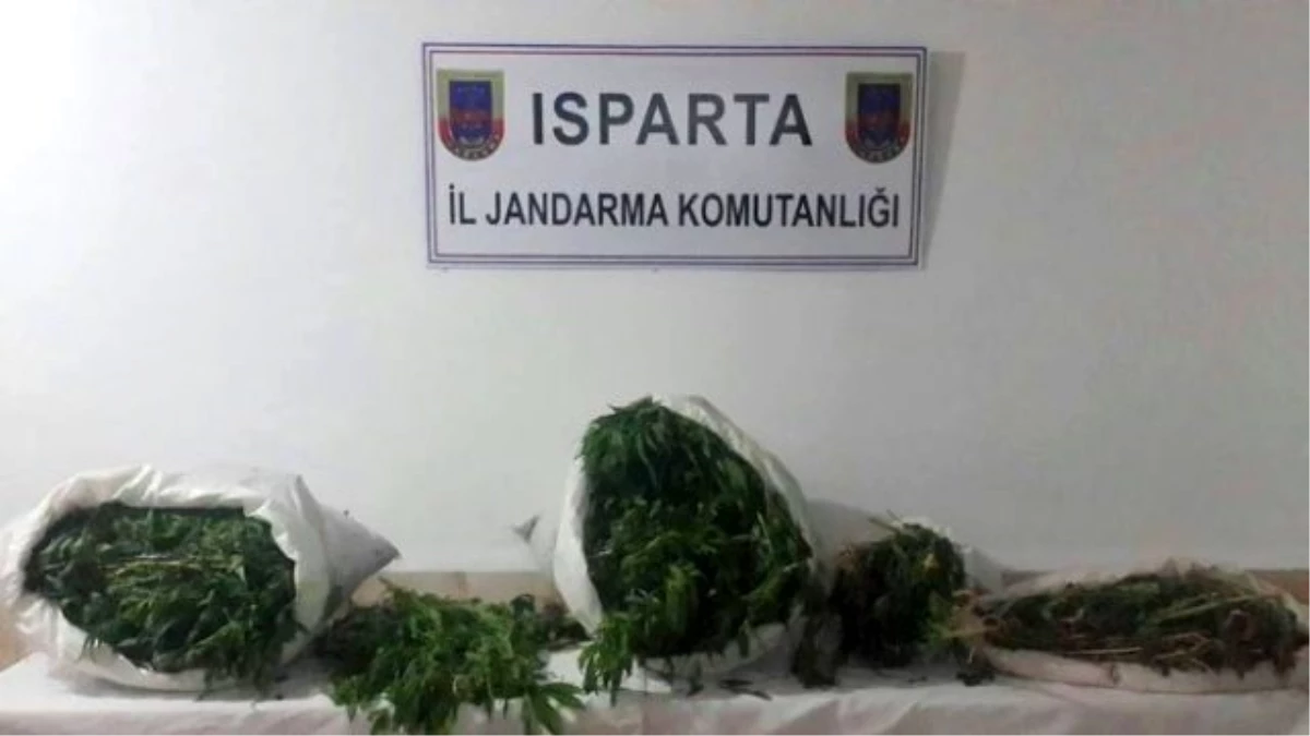 Isparta\'da Uyuşturucu Operasyonu: 2 Gözaltı