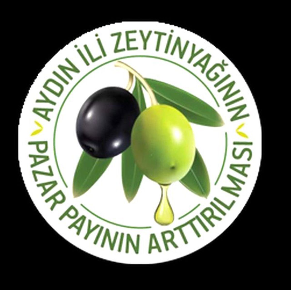 Aydın Zeytinyağı Konya\'da Tanıtılacak