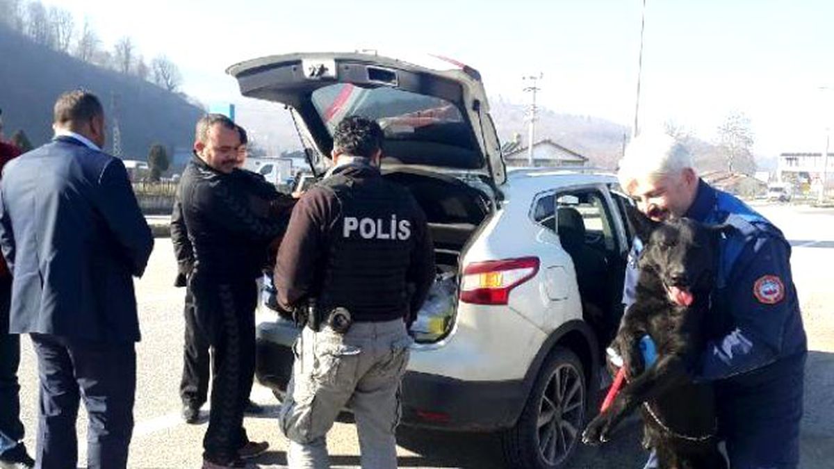 Düzce\'de Şüpheli Araçlarda Köpekli Arama