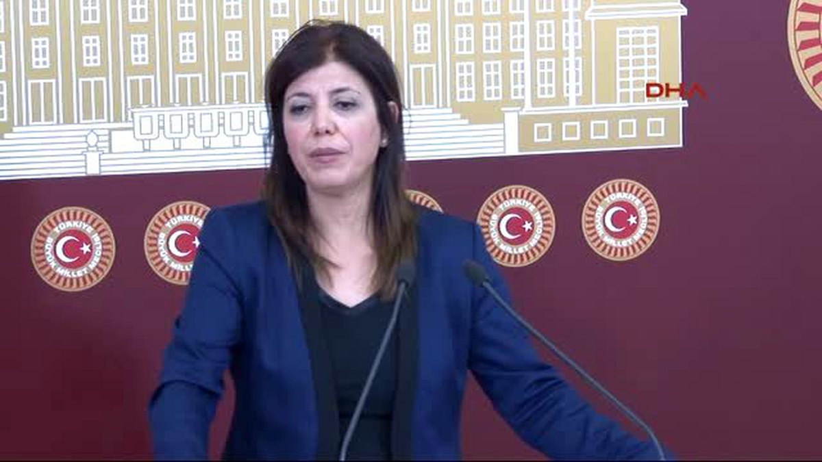 Meral Danış Beştaş : Sokağa Çıkma Yasağının Durdurulması İçin AİHM\'ne Başvuracağım -2