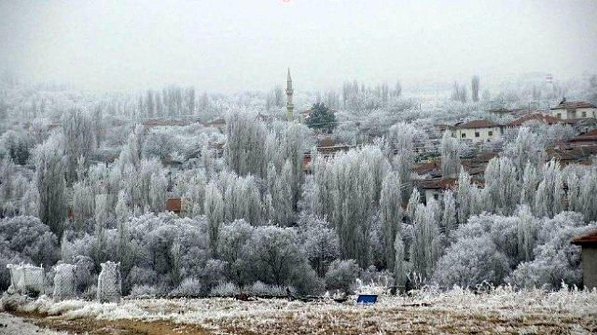 Ağaçlar Üzerinde Oluşan Kırağı Kartpostallık Görüntüler Ortaya Çıkardı