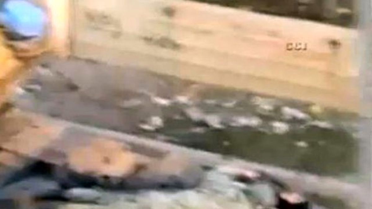 Asker, Yaralanan Özel Harekat Polisinin Üzerine Yatarak Siper Oldu