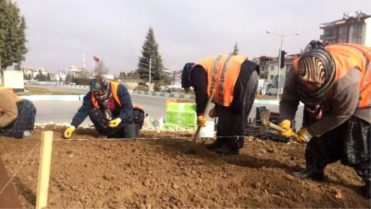 Beyşehir Bahara Şimdiden Hazırlanıyor