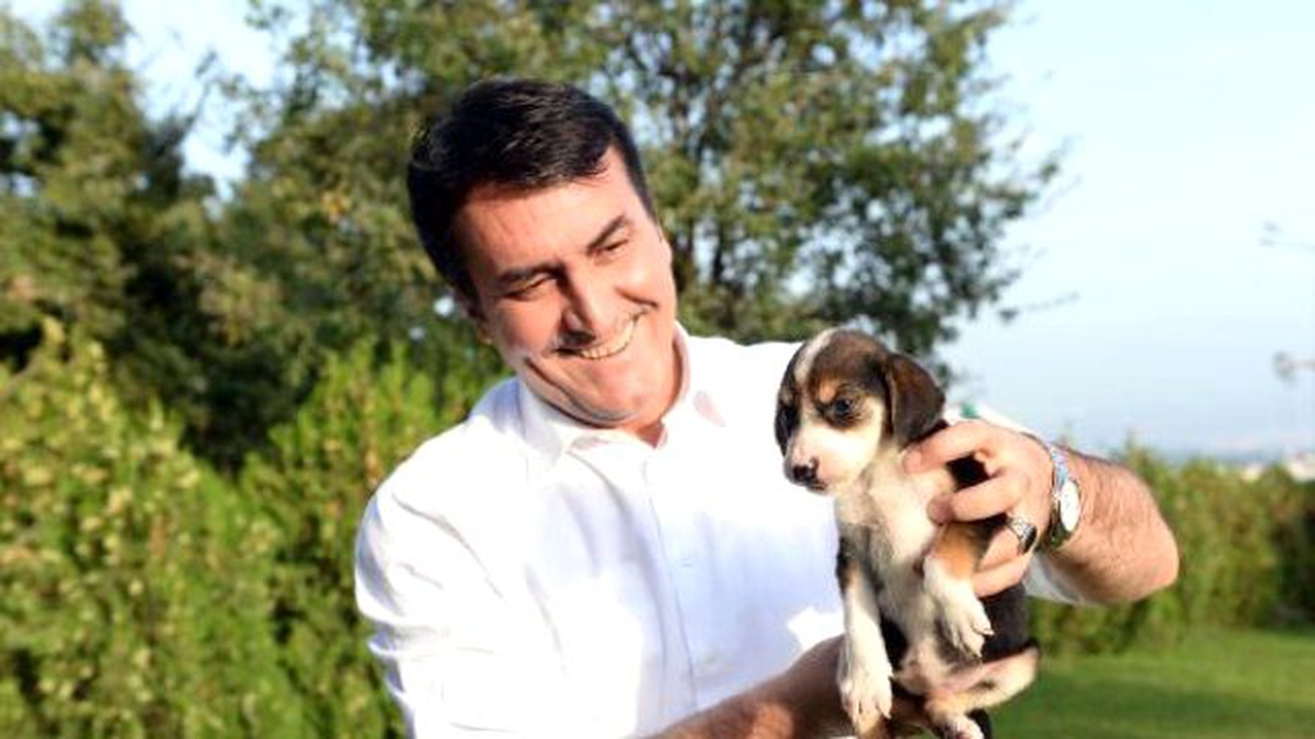 Bursa\'da 375 Sokak Hayvanı Sahiplendirildi