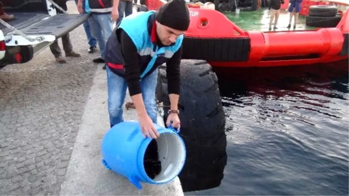 Çanakkale\'de Deniz Patlıcanı Operasyonu