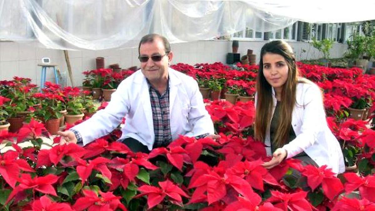 Doktora Tezi İçin Yetiştirilen Çiçekler Satışa Sunuldu