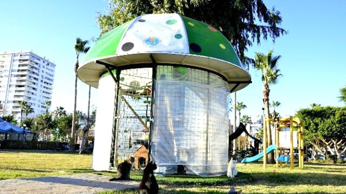 Mersin Büyükşehir Belediyesi, Kedilere Sığınma Evleri Kurdu