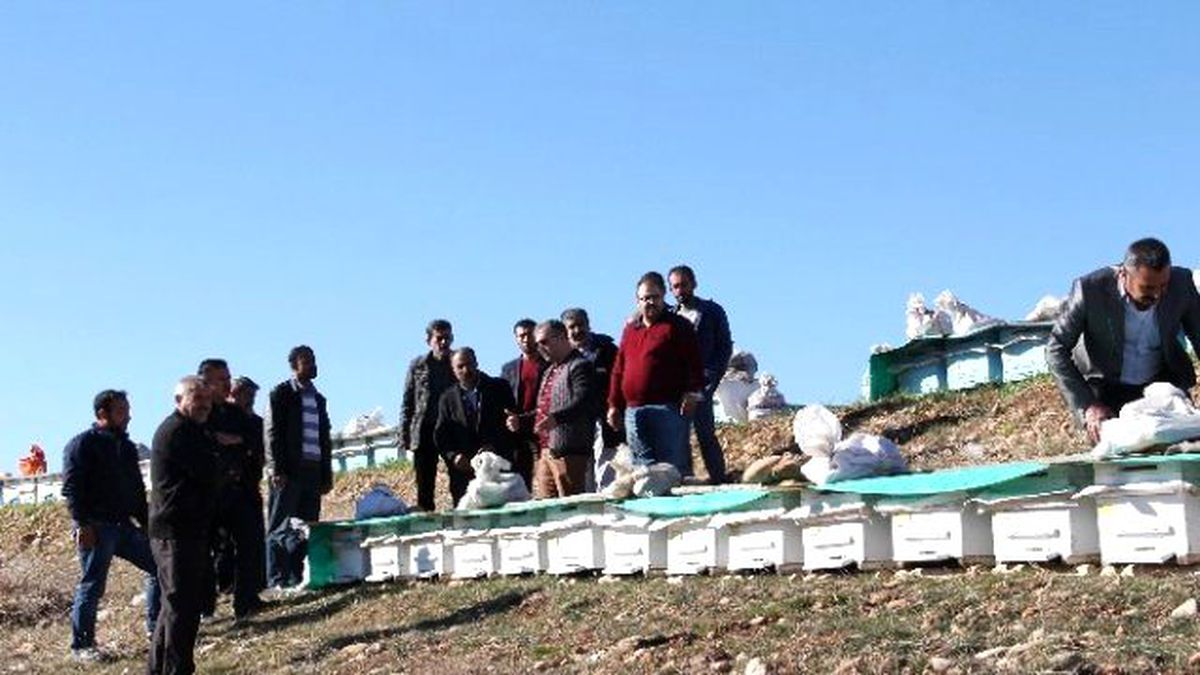 Arıcılık Kursu Tamamlandı