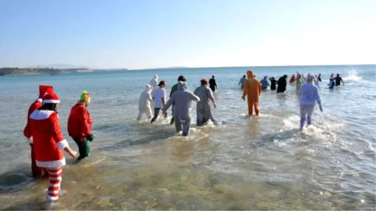 Hayvanlar İçin Kış Ortasında Denize Girdiler