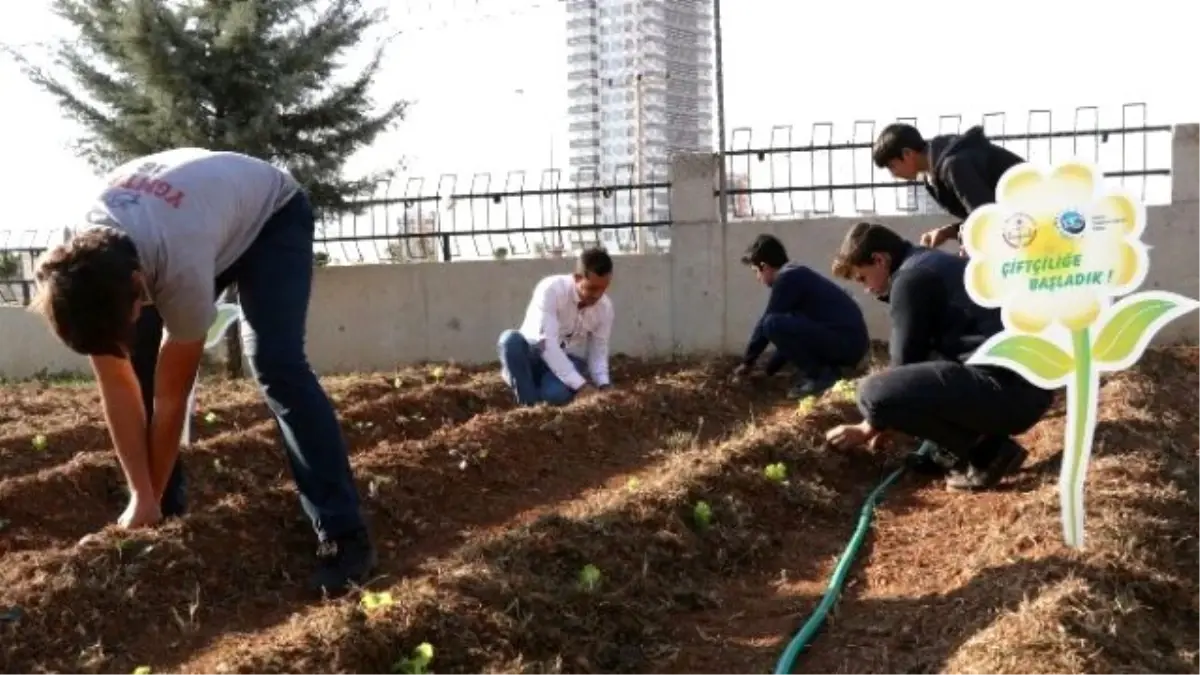 Öğrenciler, Ekolojik Tarımla Tanıştı