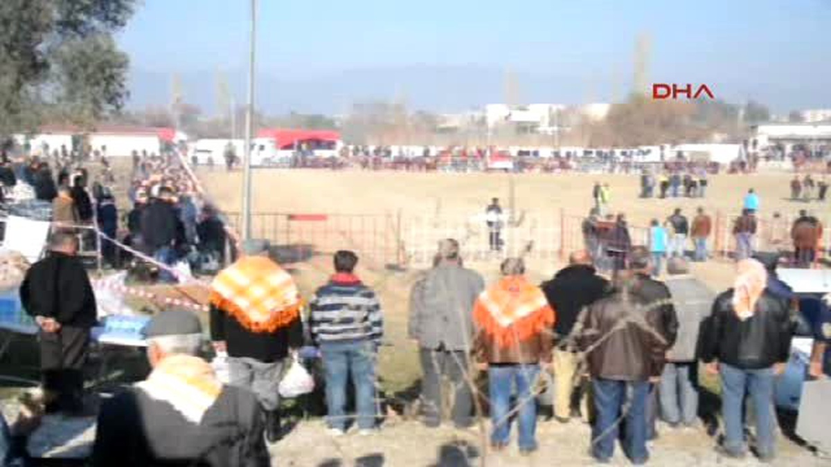 Develer Kemalpaşa Yerine Germencik\'te Güreşti