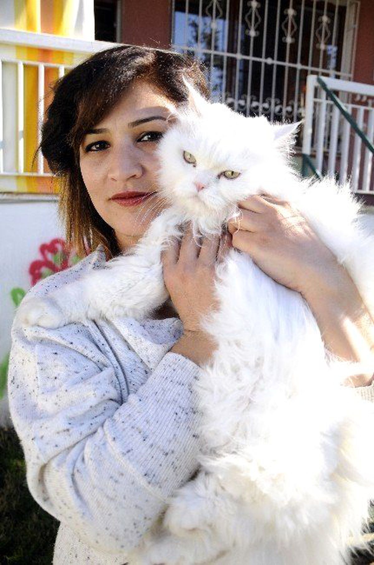 Evde Kedi Beslemeye Mahkeme Onayı