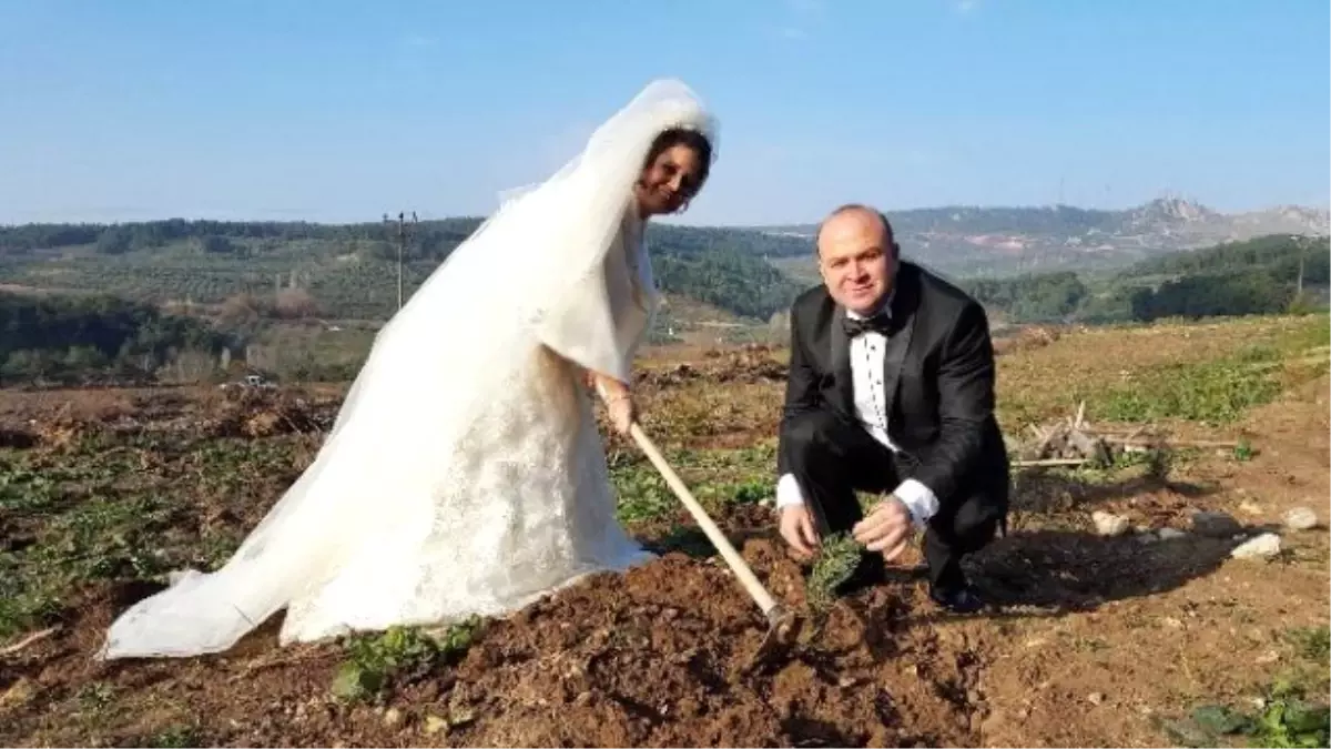 Düğünden Önce Gelinlik ve Damatlıkla Fidan Dikmeye Koştular