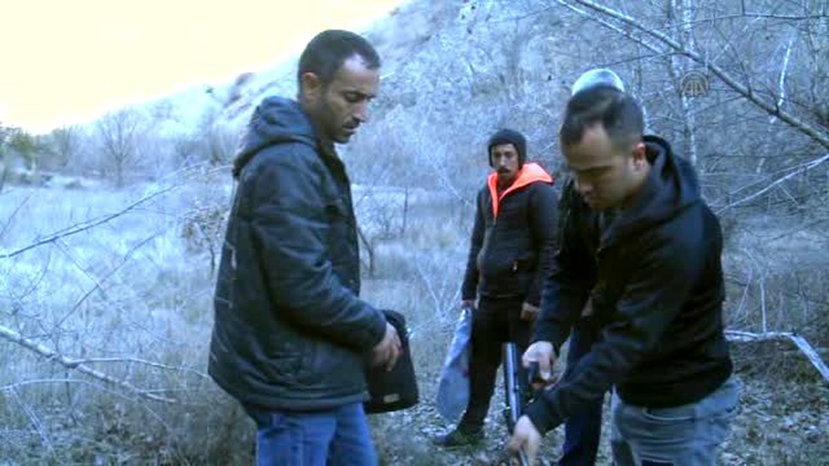 Yaralı Dağ Keçisi Kurtarılırken Telef Oldu