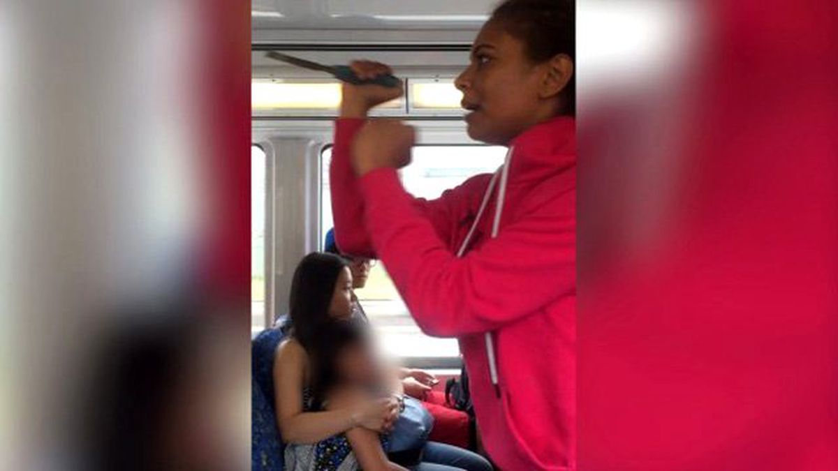 Irkçı Kadın, Yanına Oturan Adama Bıçakla Saldırdı