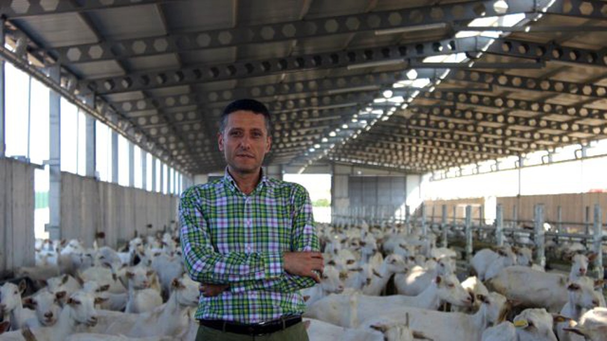 Zayıflamak İsteyenler Keçi Yoğurdunu Tercih Ediyor!