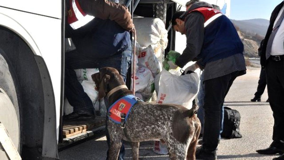 Bursa\'da Geniş Çaplı Asayiş Operasyonu