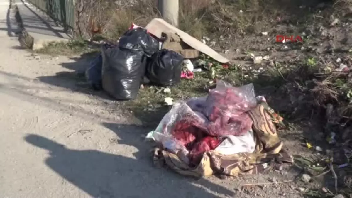 Bursa?da Yol Kenarında Atılmış 100 Kilogram At Eti Bulundu