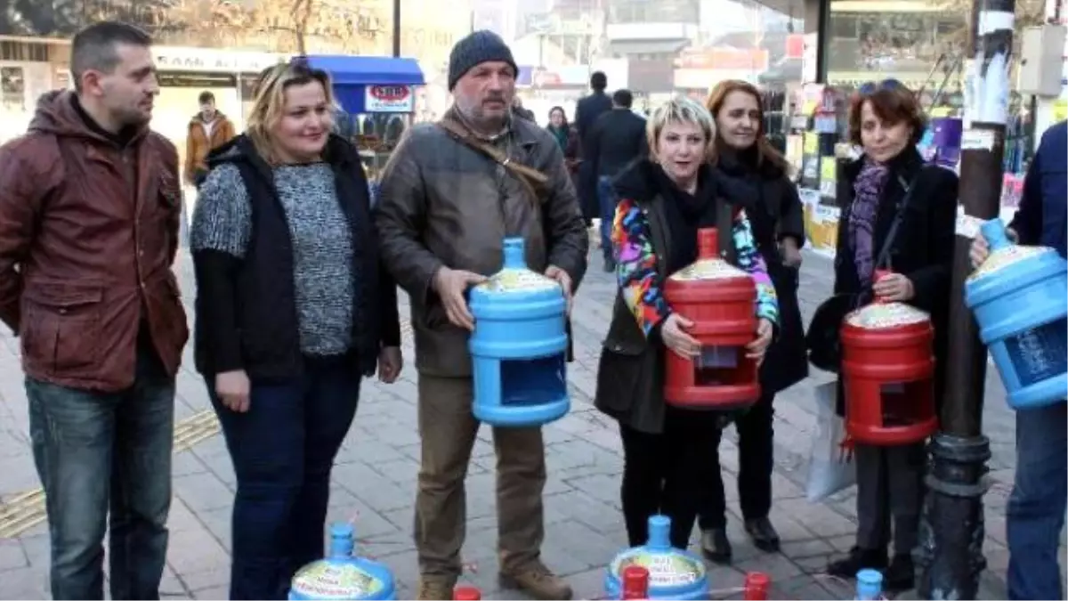 Eski Damacanalar Sokak Hayvanlarına Yem Kabı Oldu