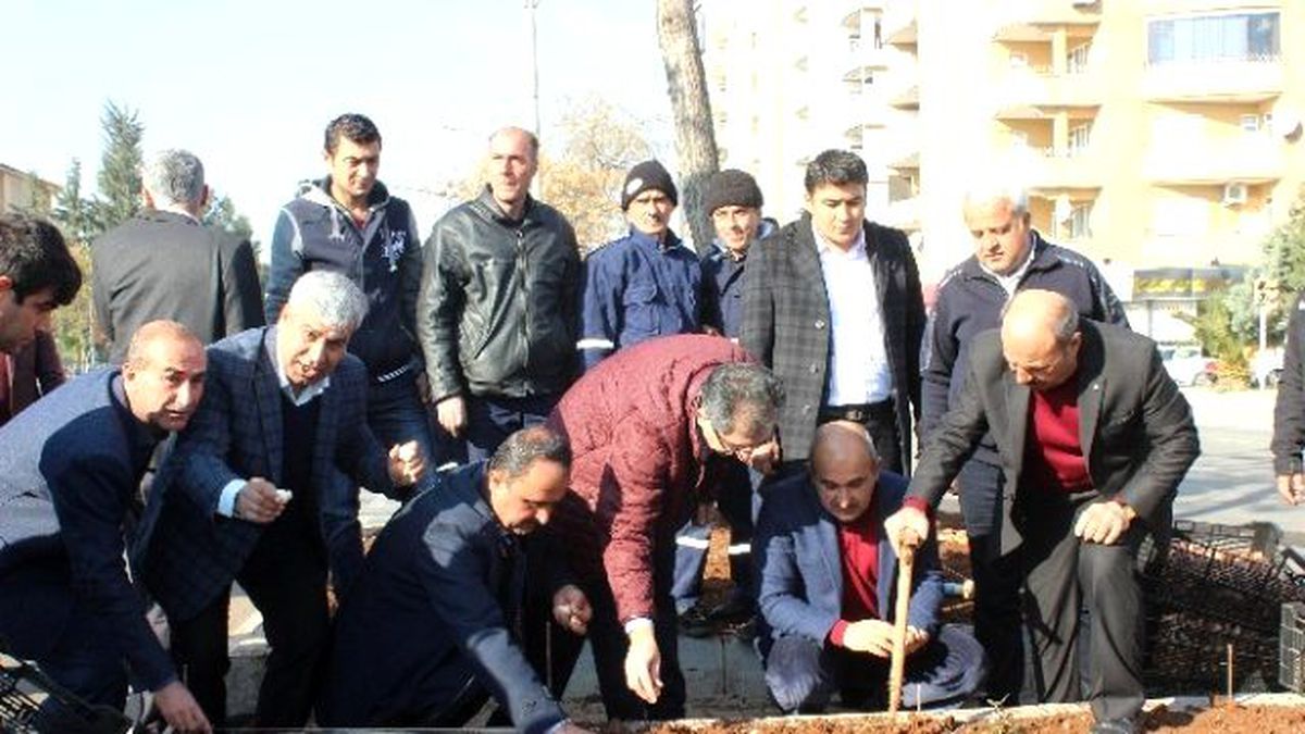130 Bin Lale Soğanı Ekiliyor