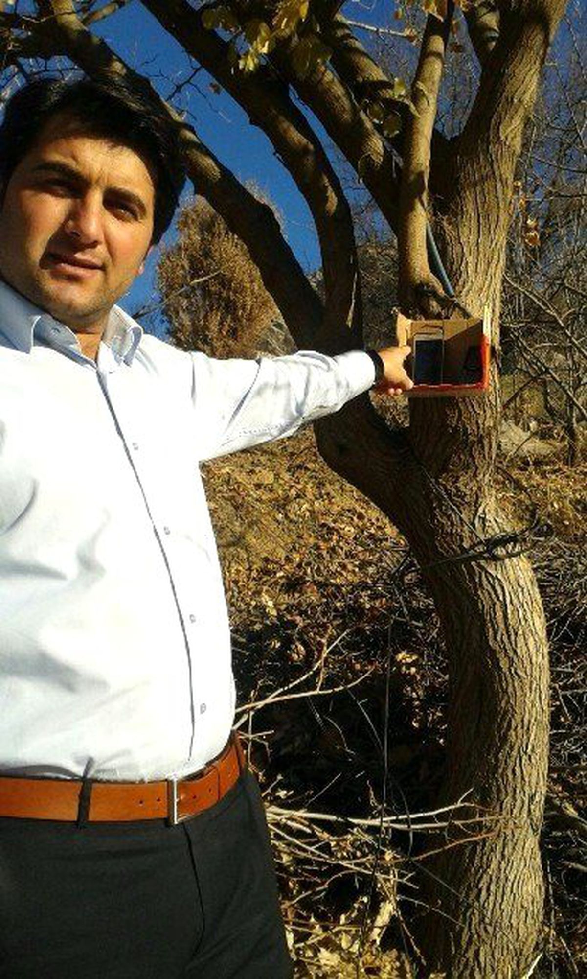 Ağaca Asılan Kutudan İletişim