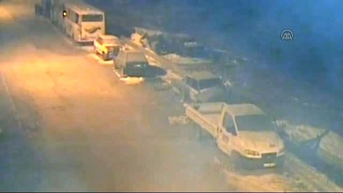 Bayburt'ta Şehre İnen Kurtlar Kameralara Takıldı