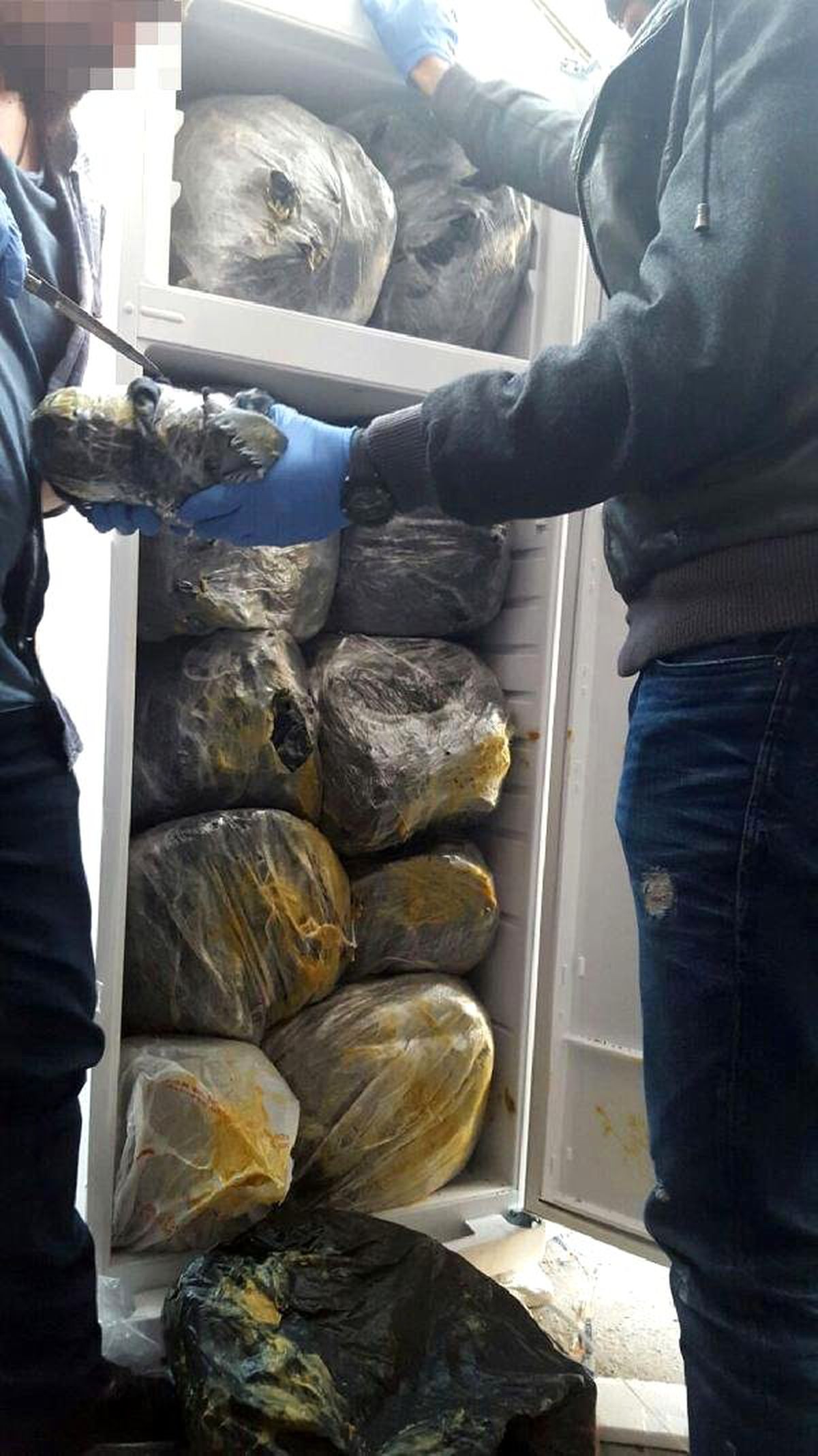 Buzdolabı ve Derin Dondurucuda 80 Kilo Esrar Yakalandı