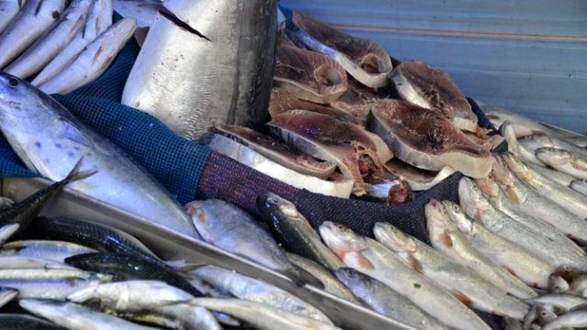 Kar Yağmaması En Çok Onların İşleri Etkiledi
