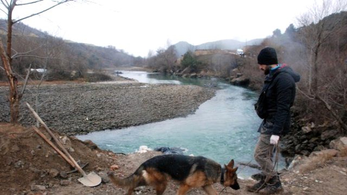 Kayıp Çocukları Özel Eğitimli Köpekler Arıyor