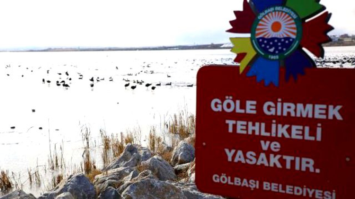 Mogan Gölü Buz Tuttu, Aç Kalan Kuşlara Yem Atıldı