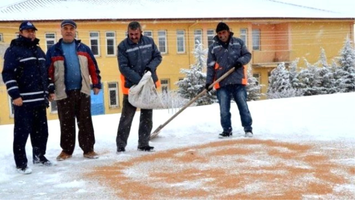 Yazıhüyük Belediyesi Kuşlara Yem Köpeklere Ekmek Dağıttı