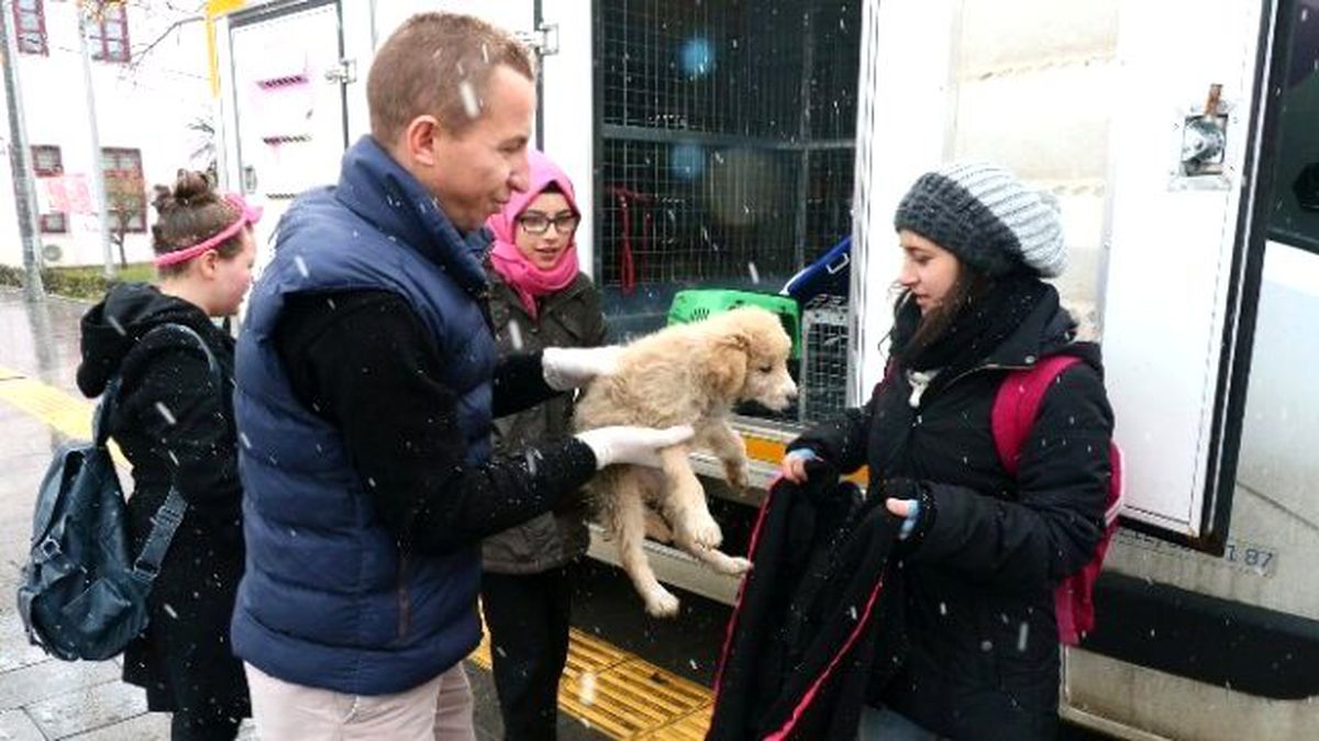 Liseli Öğrenciler, Tedavi Ettirdikleri Yavru Köpeği Sahiplendi