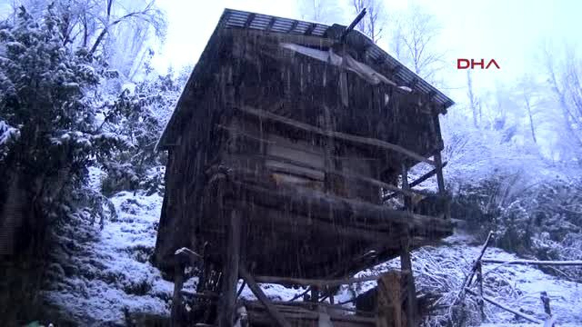Rize - İlk Lazca Köy Adı Verildi, Murat Köyü\'nün Adı Komilo Oldu