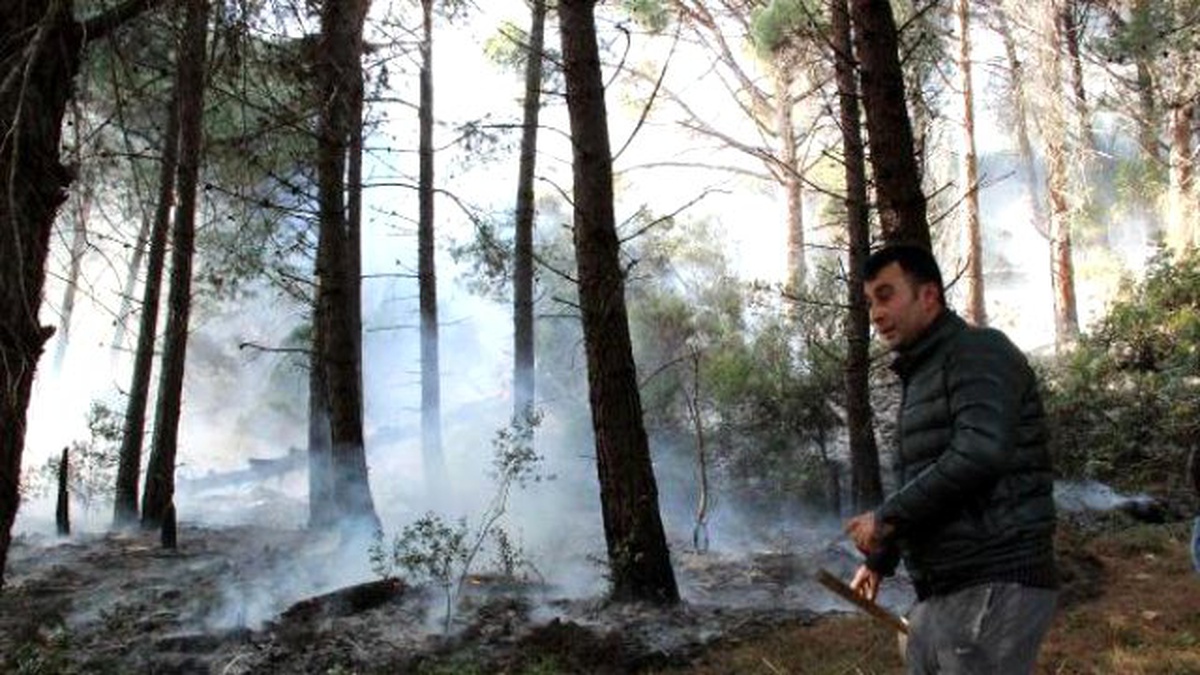 Tarihi Gelibolu Yarımadası\'nda Korkutan Orman Yangını